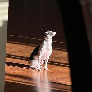 Meet your Posher, Bryan